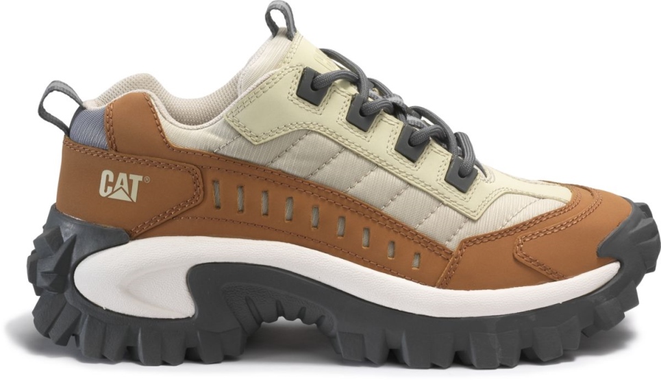 Cashew Intruder Shoe Cat Footwear