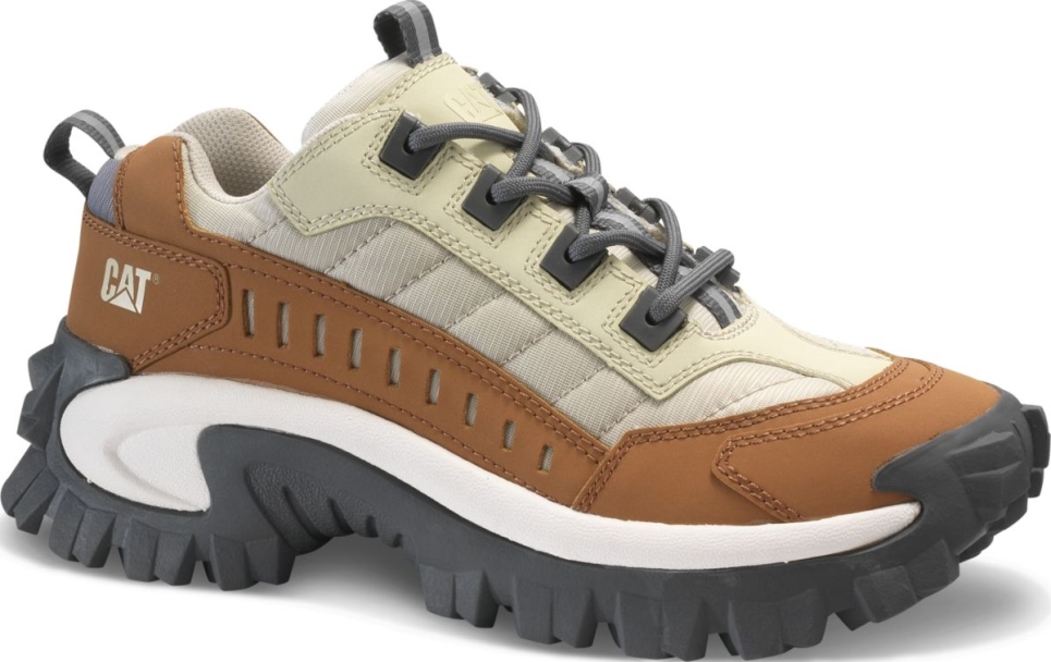 Cashew Intruder Shoe Cat Footwear