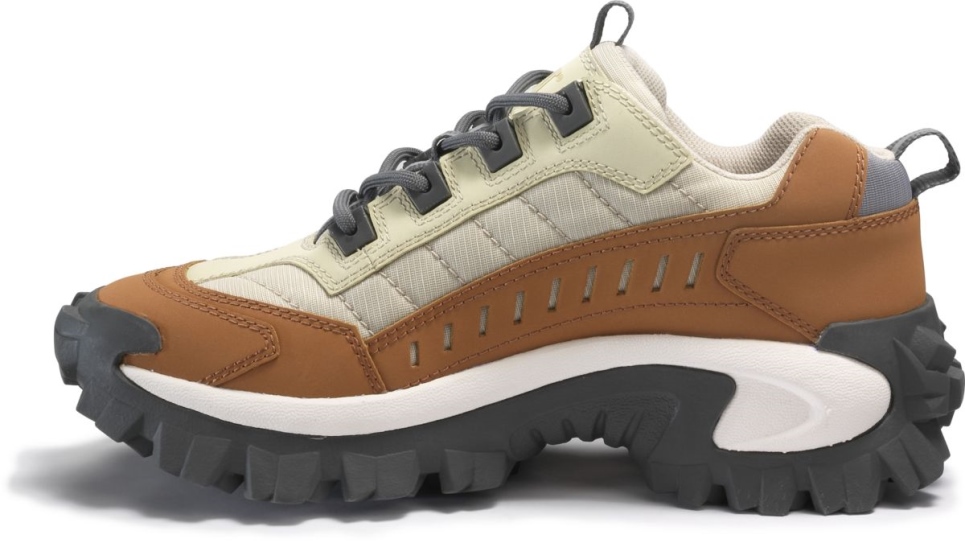 Cashew Intruder Shoe Cat Footwear