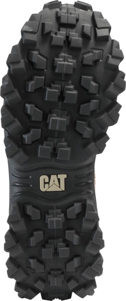 Cashew Intruder Shoe Cat Footwear