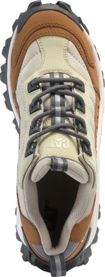 Cashew Intruder Shoe Cat Footwear