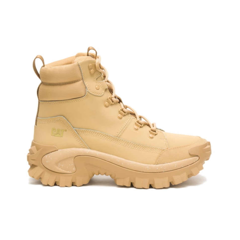 Cat Footwear Curry Trespass Boot