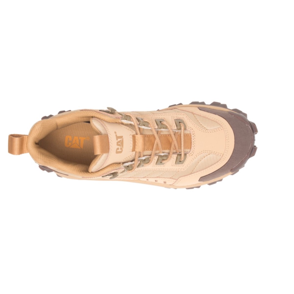 Cat Footwear Intruder Mid Shoe Taffy