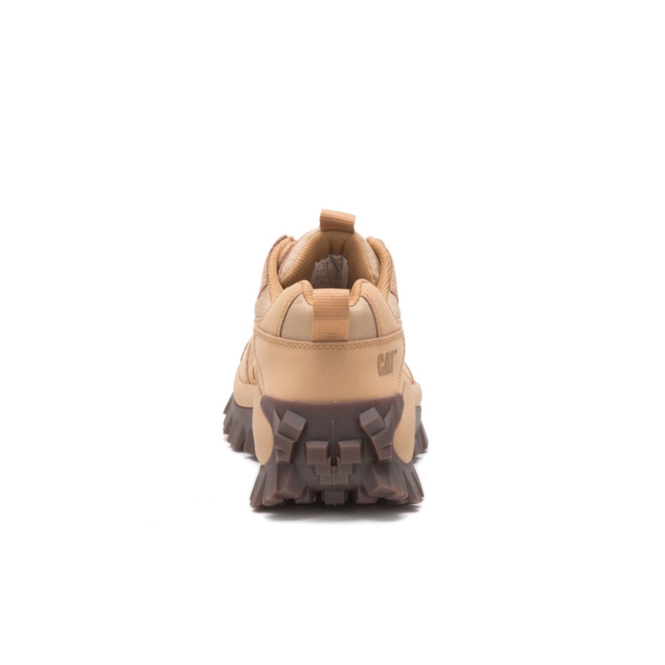 Cat Footwear Intruder Shoe Taffy