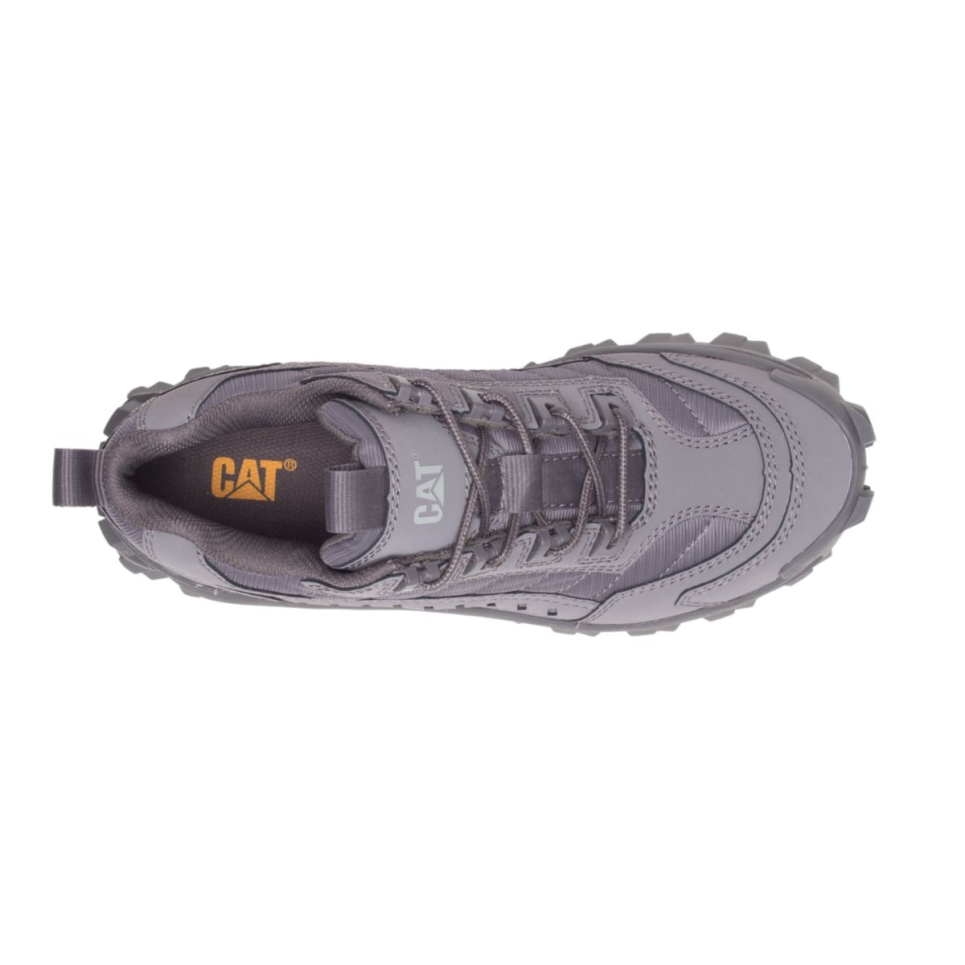 Cat Footwear Pavement Intruder Shoe