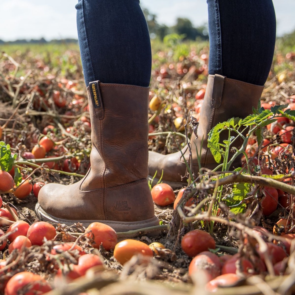 Cat Footwear Women's Revolver Steel Toe Work Boot Dark Beige
