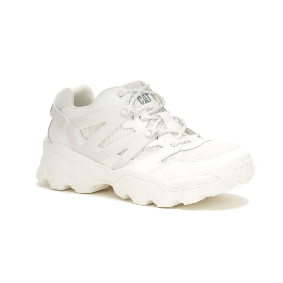 Star White Reactor Sneaker Cat Footwear